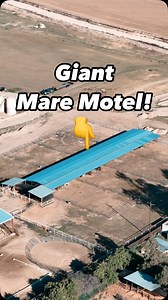 This Mare Motel is huge! 🐎 Our customer needed a large Mare Motel, they shopped all around, and they ended up choosing us! 🤠 SoCal Fence and Barn www.socalfenceandbarn.com 840 Sixth St Norco, California 92860 #maremotel #mares #horses #equine #equestrian #norcocalifornia #norcoca #horsebarn #horsestable #showhorse #socalfenceandbarn | SoCal Fence and Barn