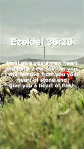 God Can Give You a New Heart | Ezekiel 36:26