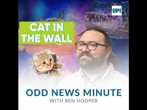 Look: 'Butt birth' rhino from 'Ace Ventura' sequel up for auction