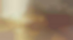 Serene Dog-Centric Insurance Ads