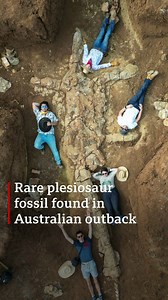 22K views · 545 reactions | A group of friends discovered a huge plesiosaur fossil in Australia's outback. Scientists say it's like finding the "Rosetta Stone of marine palaeontology". | BBC World Service | Facebook