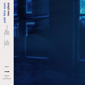 Albums Of The Week: Pale Blue Eyes | New Place - Tinnitist