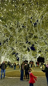 In & Around New Braunfels, Texas on Instagram: "✨Christmastime in the Texas Hill Country✨ Lights Spectacular 🎄 📍Johnson City, Texas @lightsspectacularjctx ✨ One of the most beautiful Christmas light displays! The Johnson City Lights Spectacular is a must-see! ✨ Family-friendly & free! ✨ Carriage Rides, Food, Entertainment 🎄Make sure that you arrive at the PEC headquarters in time to see the lights being turned on. It is magical! This area features over 1 million lights on beautiful oak trees.