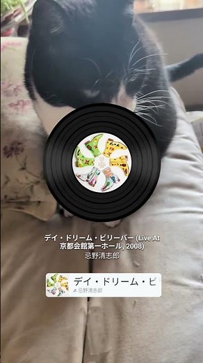 ディドリームビリーバー忌野清志郎