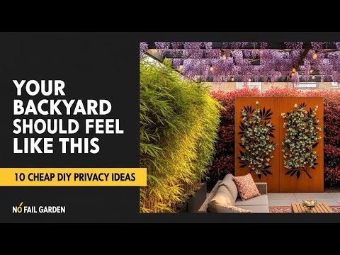 10 Cheap DIY Backyard Privacy Ideas That Look Expensive
