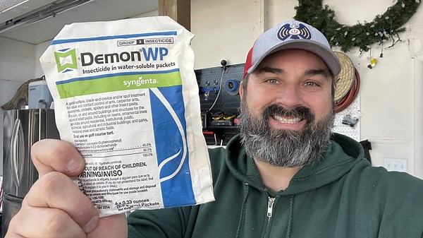 Watch Let the insects know who is the boss on Amazon Live