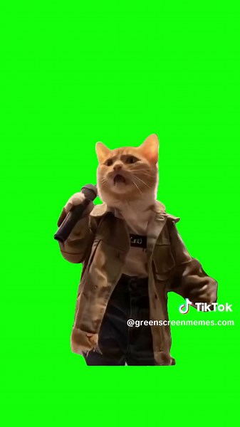 Funny Cat Singing Green Screen Meme Compilation