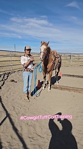 1.9K views · 55 reactions | Okay here is a breakdown of this...