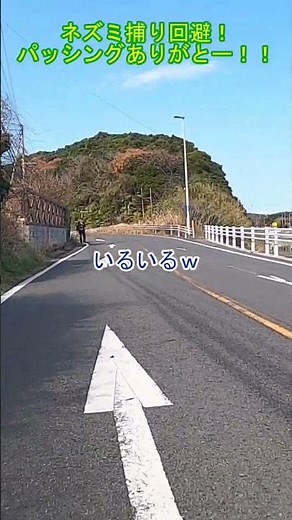 ネズミ捕り回避！ パッシングありがとー！！ #shorts