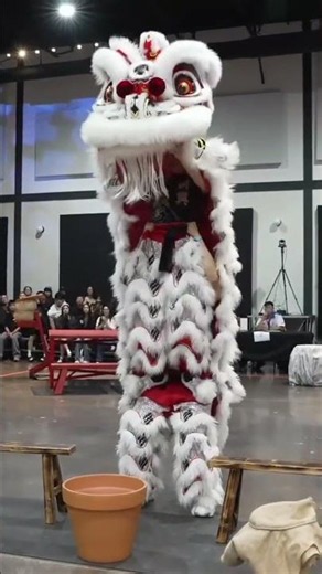 Sun Hing — 2026 USA Lion Dance National Championships | Traditional #liondance