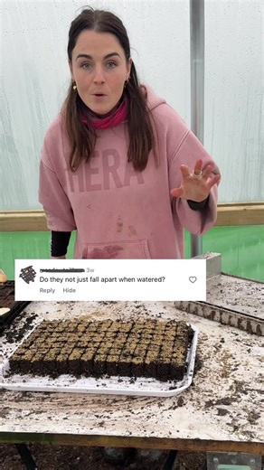 Easy Gardening Tips for Growing Flowers