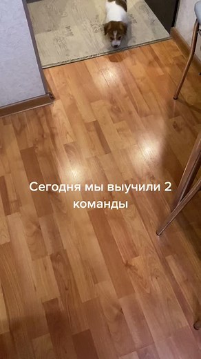 Каждый день учим новые команды 😉 дальше больше ✊