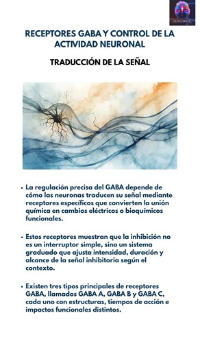 #Neurociencias: Receptores GABA y traducción de la señal 🧠 La inhibición neuronal depende de cómo los receptores GABA transforman una señal química en efectos eléctricos y bioquímicos precisos. 🔹 Los receptores convierten la unión del GABA en cambios funcionales dentro de la neurona. 🔹 La inhibición no es un interruptor binario, sino un sistema graduado y contextual. 🔹 Diferentes tipos de receptores permiten ajustar intensidad, duración y alcance de la señal inhibitoria. 📌 La precisión del 