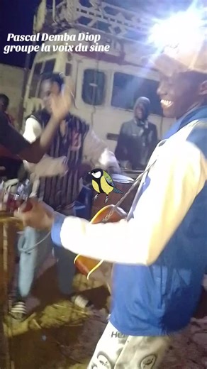 Explore the Music of Pascal Demba Diop
