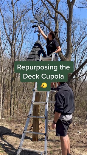 Cozy 1 Bedroom Studio for Rent with Unique Birdhouse