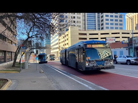 Capital Metro Bus Compilation, Vol. 4: January 24, 2025