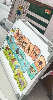 HMH Module 9, week 1,2,3,4. / Habitat worksheets. / Special Education, Autism