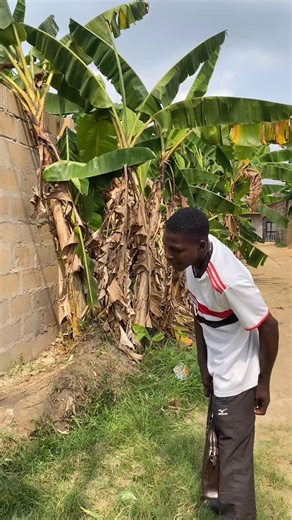 David Frank on Instagram: "Behind the scenes"