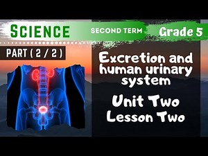 Science | Grade 5 | Unit 2 Lesson 2 - Part 2 - Excretion and human urinary system