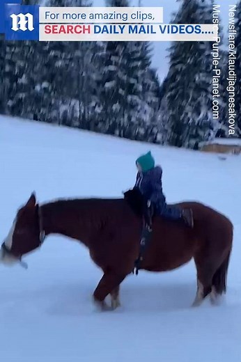 This girl riding a horse with her cat is the cutest thing you’ll see all day! Additional clip via ViralHog | Daily Mail Video