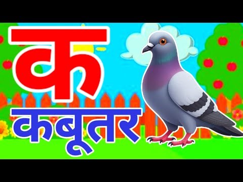 कबूतर, अ से अनार a se anaar k se kabutar Hindi v k se varnmala | ABCD क से कबूतर अ से अनार, for kids