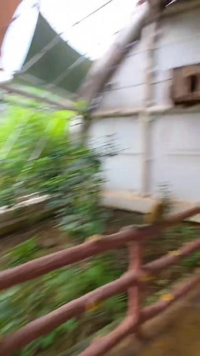 જંગલ સફારી part-5 | statue of unity tour by paru n guru vlogs | Paru N Guru Vlogs