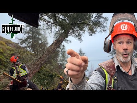 Finishing This High Profile Job With A BANG