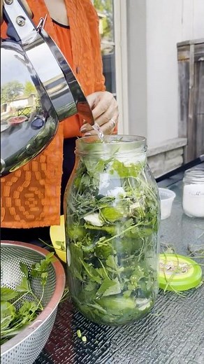 Persian Pickled Cucumbers Recipe | Garden Fresh 🌿🥒