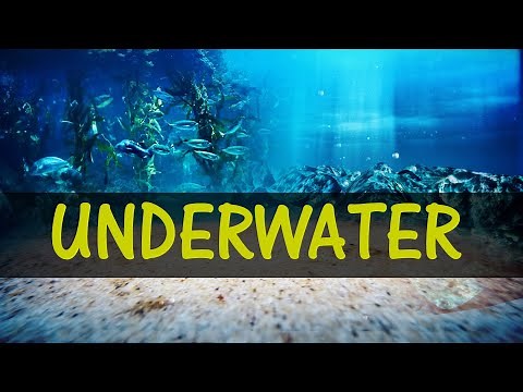 underwater green screen