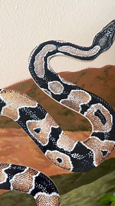 27K views · 627 reactions | How to paint a snake! #snake #wallart #walldecor #gouache #painting #snakelover | Y Street Studio | Facebook