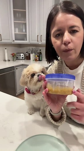 Homemade Dog Waffles Recipe for Healthy Treats