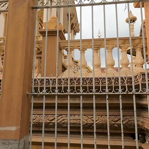 This kitten was abandoned by humans, They are very scared | The Gohan And Cats