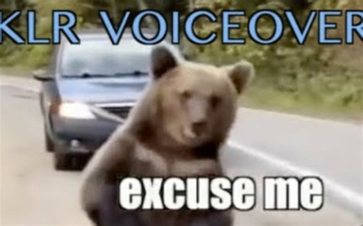 Funniest Animal Voiceovers(最有趣的动物配音)视频合集 - 永久更新…