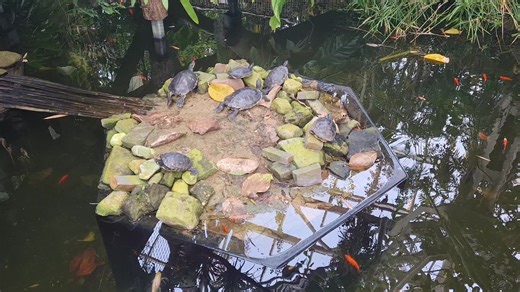 4 comments | Hey, curious minds! Did you know our amazing Yellow...