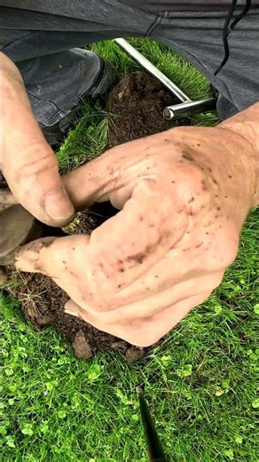 Metal Detecting Ladies Compact 1800 Coins Relics Old Toys Farm Western NY #metaldetecting #shorts