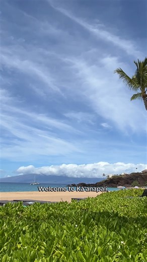 Once a royal retreat, Kāʻanapali is now 1 of Maui’s top beach destinations, known for its golden sands, incredible snorkeling spots, and epic resorts. Take a leisurely stroll along the beach walk, hop on a catamaran for a sunset sail, or simply sunbathe. As a gentle reminder, if you’re visiting West Maui, please be mindful and respectful. The community is still healing from last year’s fires, and your kōkua (care) means a lot. #kaanapali #westmaui #mauivacation #hawaiibeaches #aloha | Maui Hawai