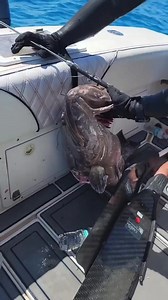 1.3M views · 6.2K reactions | Dont dream your life , live your dreams.. @capt_sosaa @ey2khunter @thebillfishrepublic #spearfishing_reviews | Spearfishing Reviews | Facebook