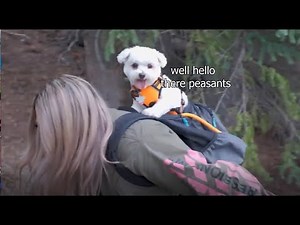 krew vlog moments that keep me up at night