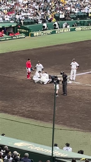 近本選手、甲子園で骨折。早期回復を祈る