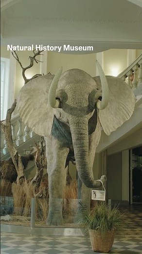 7 must see museums in Helsinki