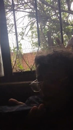 29 de dezembro de 2025