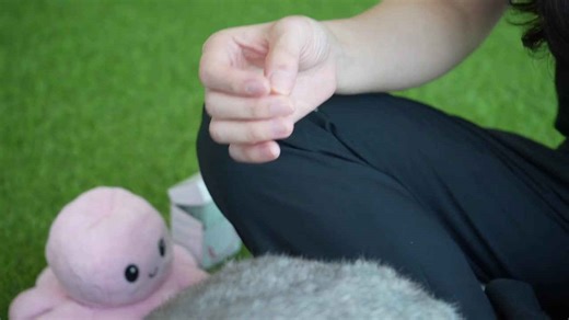 Pet acupuncture has soared in popularity at this vet clinic in Thailand