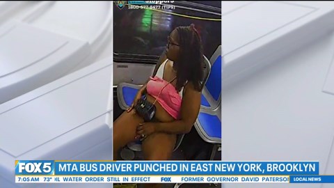 Woman punches MTA bus driver