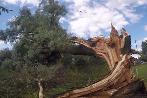 „Lietuvos draudimas“: škvalo ir krušos kaina – 150 tūkstančių eurų