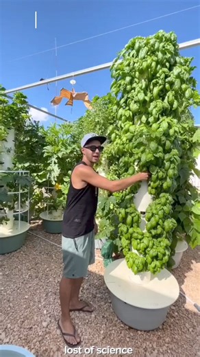 3.4K views · 53 reactions | Aeroponics farming lost of science #reelsviralfb #education #farming | lost of science | Facebook