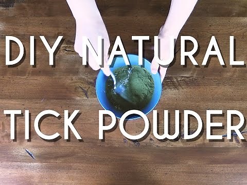Natural Flea And Tick Powder DIY
