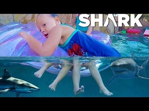SHARK IN THE WATER POOL PARTY GAME!