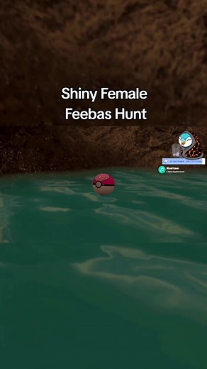 7 and a half hour Shiny Female Feebas hunt! This one took some time off my life especially since this cave was so small lmao #pokemonviolet #pokemonscarletviolet #pokemonscarlet #poketiktok #pokemontiktok #poketok #shinypokemon #shiny #shinyhunts #shinyhunting #highlights #streamhighlights #twitchstreamer #affiliate #fyp #fy