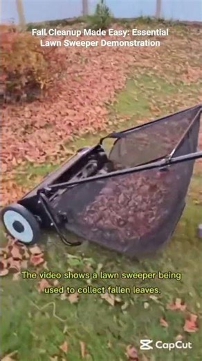 Fall Cleanup Made Easy: Essential Lawn Sweeper Demonstration#LawnCare#LeafCleanup#AutumnHacks#Garden