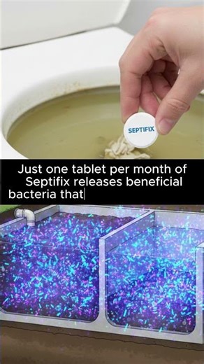 Septic Tank Treatment vs Pumping Cost: What Actually Saves Money?